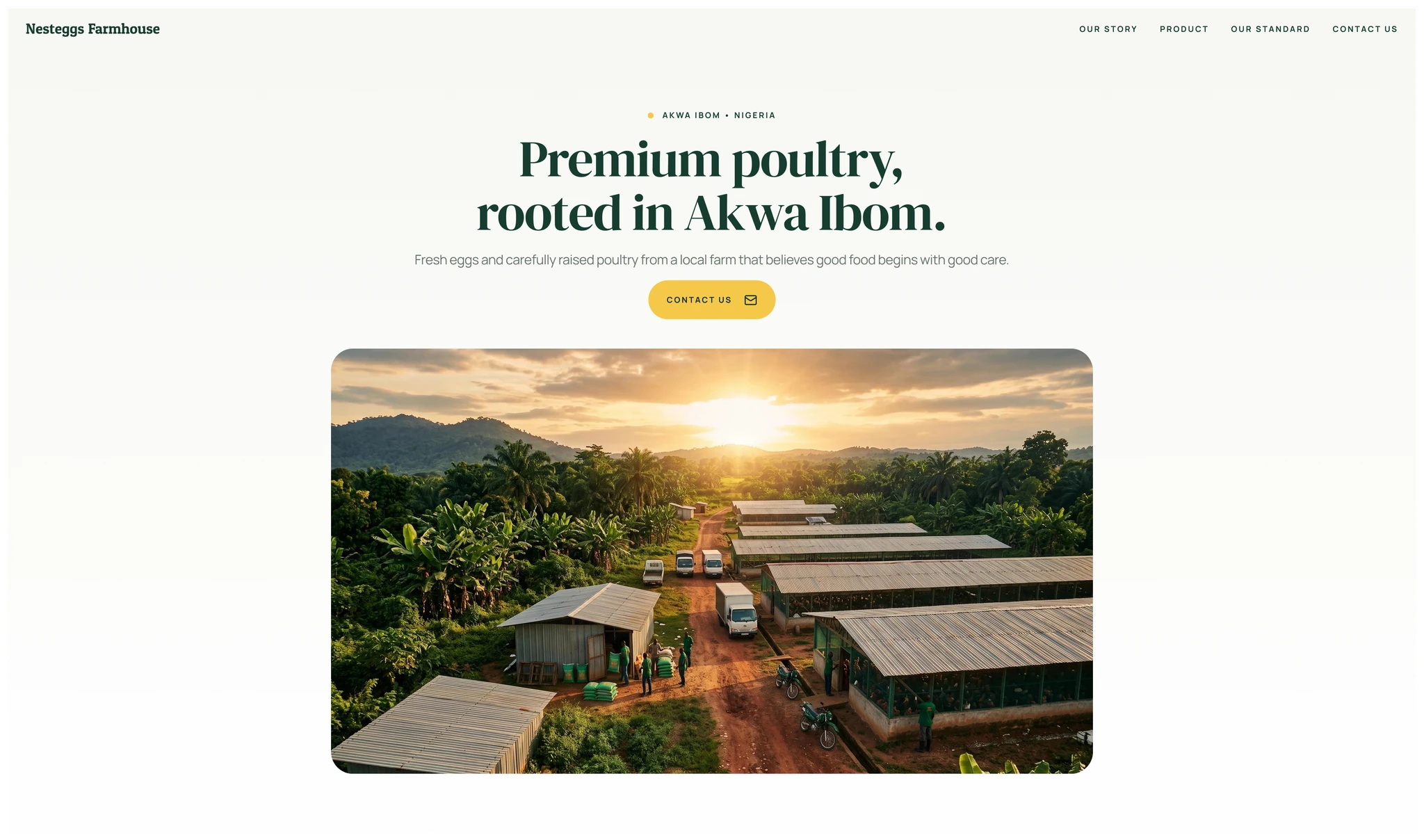 Nesteggs Farmhouse website homepage design